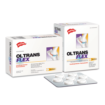 Ol trans flex palatable 70 tabletas ( condroprotector )